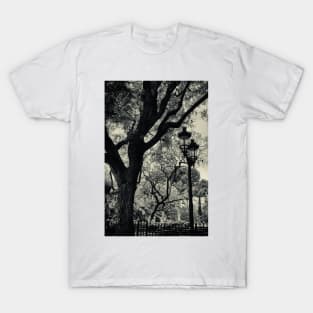 Tortured trees and a lamp post in Barcelona T-Shirt